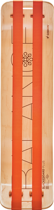 THE ULTIMATE BALANCE TRAINER